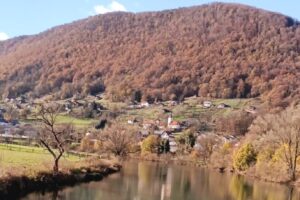 IMG_20231126_153912 (1)